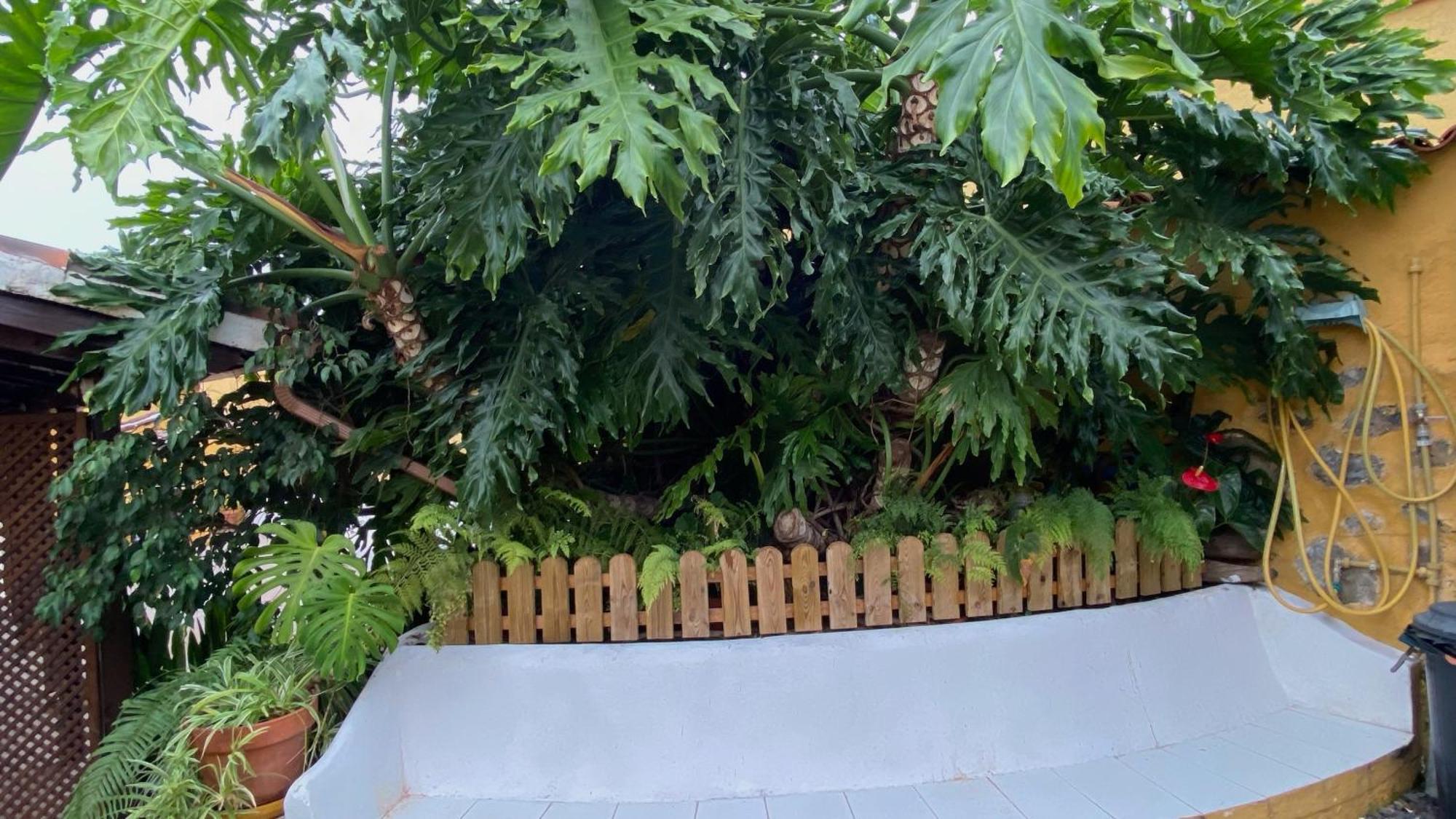 Casa Rural La Ganania ロス・レアレホス エクステリア 写真